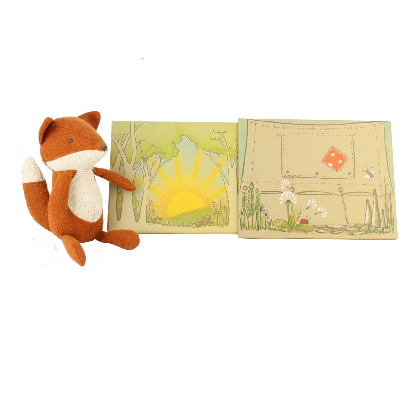 Daisy the Fox in Tent Box