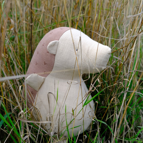 Cuddles the Hedgehog