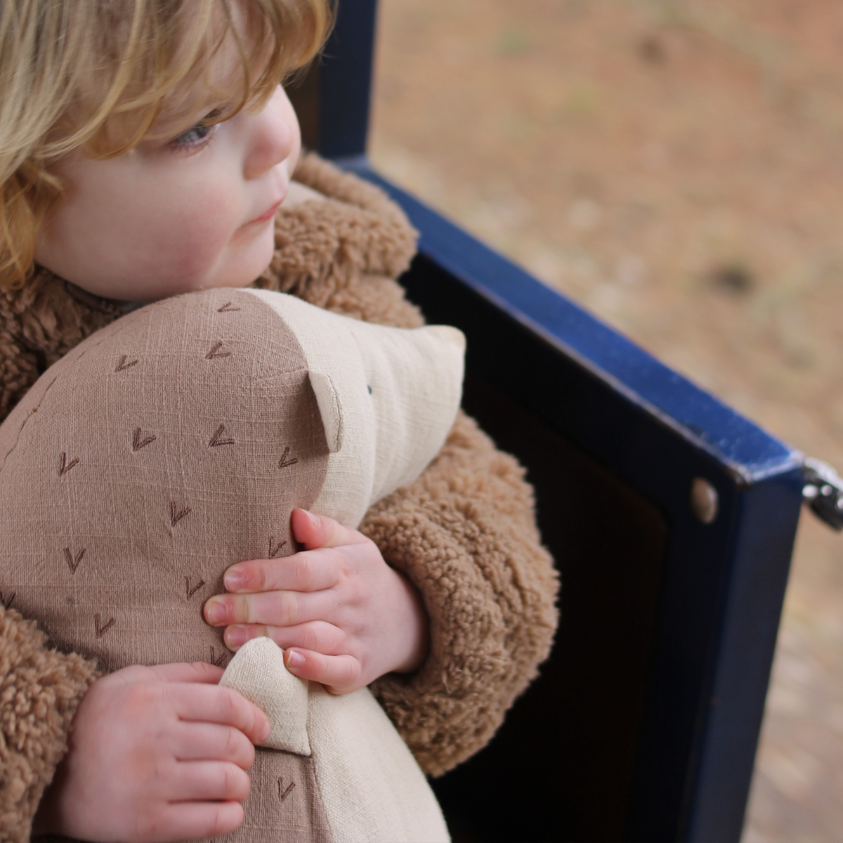 Cuddles the Hedgehog · Large
